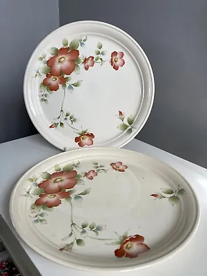 Buy Vintage Arklow Pottery Brendan Erinstone Red Fower Plates Two • 8.71£