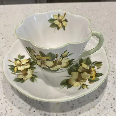 Buy Vintage Antique English Shelley Fine Bone China  Hibiscus Floral Tea Cup  Saucer • 19.21£