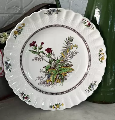 Buy Set Of 2 Vintage Dinner Plates Spode Copeland China England Rosalie 10.25  • 22.71£