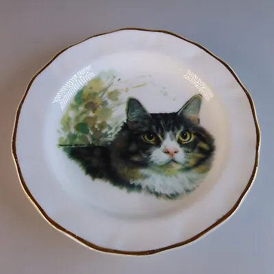 Buy Tabby Cat Collectors Display Plate Trinket Dish Bone China Made In England 4.5  • 3.99£