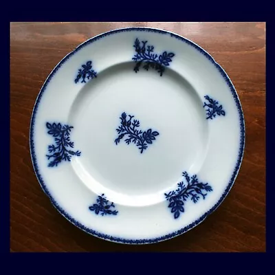 Buy Antique Victorian Flow Blue WR & Co (William Ridgway) 10  Ceramic Floral Plate • 11£