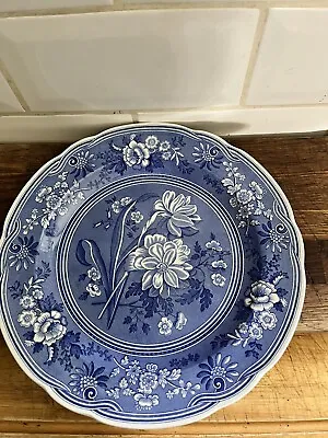 Buy The Spode Blue Room Italian Plate - Botanical • 15£