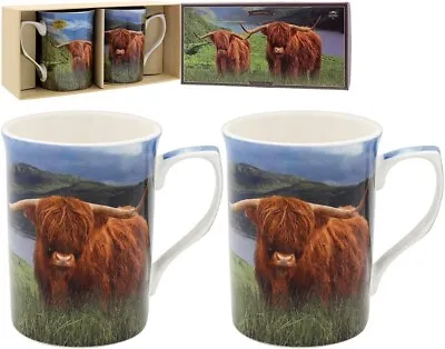 Buy Highland Cow Mugs Set Of 2 - Fine China Coffee Mug Set • 13.99£