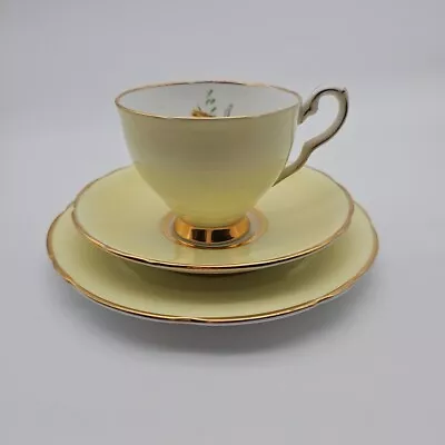 Buy Royal Stafford Tea Trio Light Yellow Lemon With Floral Theme Bone China Vintage • 14.99£