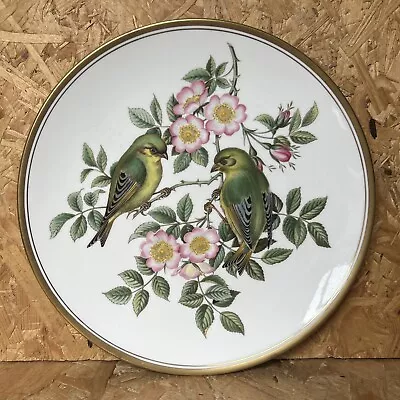 Buy Vintage Spode China Wall Plate Garden Birds - Greenfinch In Wild Roses - 24cm • 6.99£