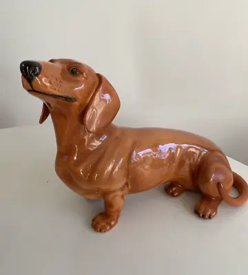 Buy Large Beswick Fireside Model Daschund Dog Height 10.75 Inches 1948-54 • 125£