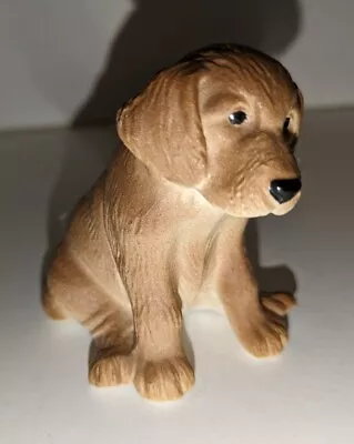 Buy Rare Vintage Isle Of Lewis Coll Pottery? Scottish Figurine Of Labrador Puppy Dog • 12£