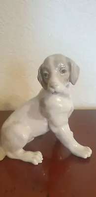 Buy Rare Nao By Lladro Sitting Puppy Retired 1991 With Hairline Crack.( 1 Of 2) • 12.50£