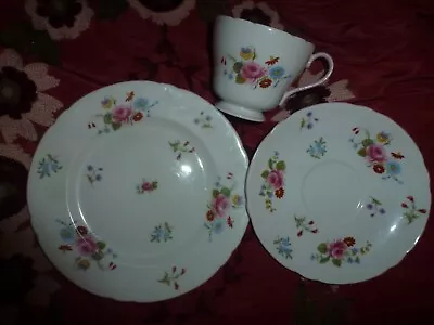 Buy Shelley China Tea Cup Saucer And Plate Roses & Red Daisy • 12£
