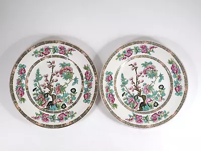 Buy Vintage Plate Maddock Indian Tree 8.3/4  Set Of 2 Plates • 9.49£