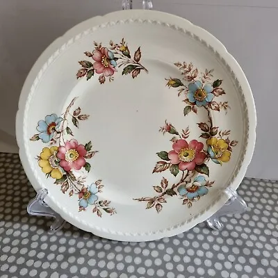 Buy Vintage Swinnertons Staffordshire  Majestic Vellum  Plate With Floral Decoration • 6.99£