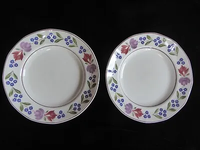 Buy Adams Old Colonial Two Dinner Plates 10.25” English Ironstone VGC • 15£