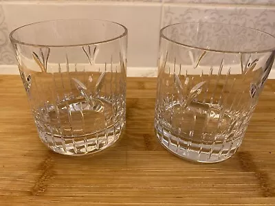 Buy Stuart Crystal Fire Whisky Glass / Tumbler X 2 Re- 9.5cm Tall • 29.99£