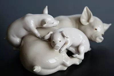 Buy Lladro Pig And Piglets Ornament • 45£