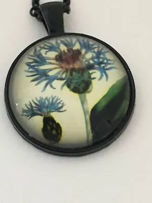 Buy FLORAL Mountain Cornflower   Glass Dome Cabochon Necklace    UK Seller    H29  • 4.12£