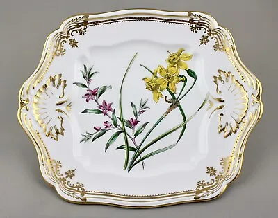 Buy Spode China England Stafford Flowers Square Handled Cake Plate Near Mint 1st! • 295£