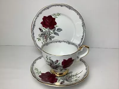 Buy Royal Stafford Roses To Remember Trio Tea Cup Saucer & Side Plate Superb Conditi • 13.99£