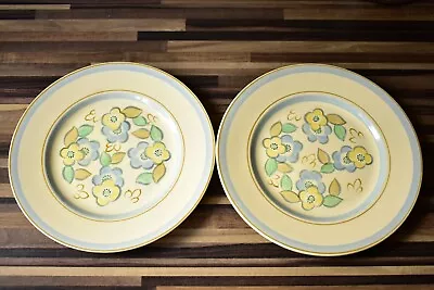 Buy Vintage Burleigh Ware Burges & Leigh Hand Painted 9 Inch Plates X 2 • 14£