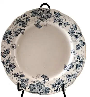 Buy John Maddock & Sons Oakland Blue White 8  Plate Made In England Royal Vitreous • 10.60£