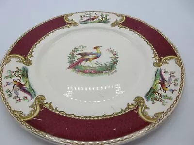 Buy Myotts Chelsea Bird Vintage Plate, 99p Start • 0.99£