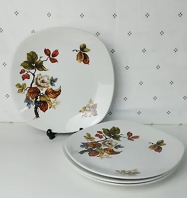 Buy Set Of 4 Vintage Midwinter Stylecraft Dinner Plates Rosewood Fashion Shape 9.5  • 6£
