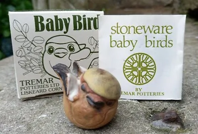 Buy No.1 Fledgling Baby Bird Tremar Potteries Liskeard Cornwall Boxed With Paperwork • 10£