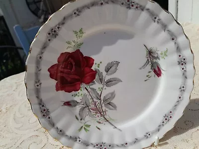 Buy Vintage Royal Stafford Replacement SAUCER Roses To Remember Deep Red Rose • 2.95£