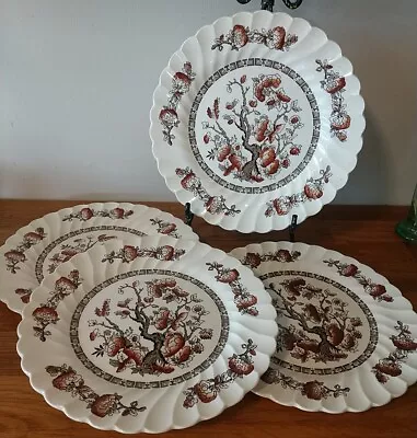 Buy Set Of 4 Nice Myott Staffordshire England Dynasty Indian Tree 10” Dinner Plate  • 37.91£