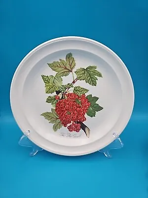 Buy Vintage Portmeirion Pomona 1982 The Red Current Side Bread Plate 7¼  • 10£