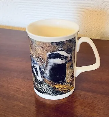 Buy Hornsey Pottery Tea/coffee Mug – Country Scene Range – BADGERS • 3£