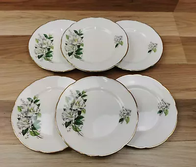 Buy 6 X Vintage Royal Stafford Bone China Camellia Pattern  6.75  Side Plates • 13.99£
