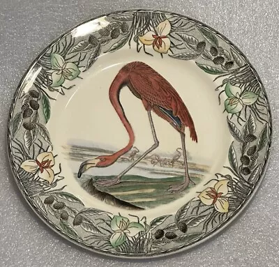 Buy Audubon Flamingo 10.25” Plate By William Adams Tunstall, England Vgc • 46.22£