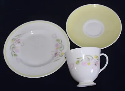 Buy Susie Cooper Bone China Floral Pattern Trio Cup Saucer Plate Set  • 2.99£