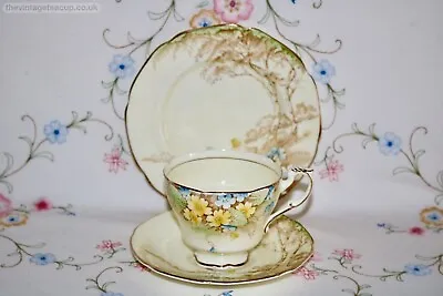 Buy Superb HM Queen Paragon Woodland Flowers Bone China Tea Set Trio Cup Plate • 22£