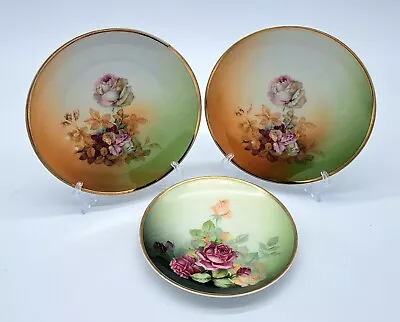Buy Lot Of 3 Antique Bavarian Hand Decorated Plates Floral Prince Regent • 18.80£