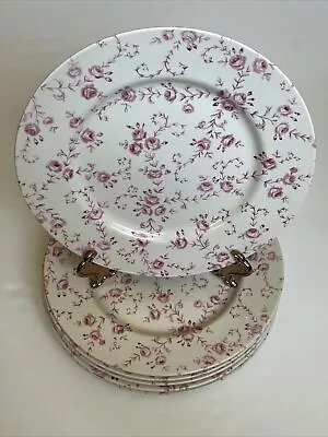 Buy Royal Stafford Fine Earthenware Pink Floral Dinner Plate 11  Set Of 6 • 76£