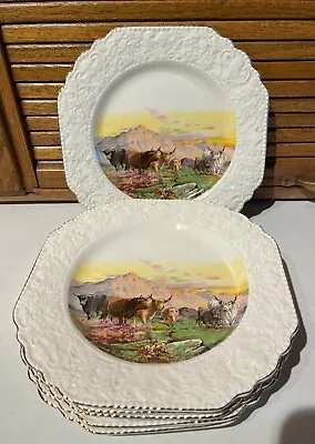 Buy Elijah Cotton Lord Nelson Ware Pre 1956  HIGHLAND CATTLE  - 6 Plates - 8.5  • 24.59£