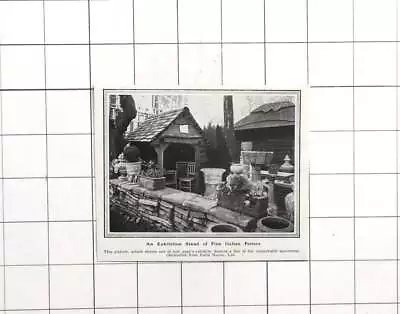 Buy 1924 Fine Italian Pottery On Display From Italia House Ltd • 6£