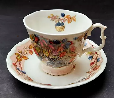 Buy Bone China Royal Doulton Brambly Hedge Autumn Cup And Saucer • 10.99£