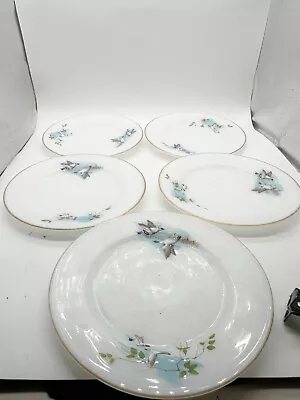 Buy Vintage Jaj Pyrex Glassware Side Plates Wildfowl Pattern • 22.99£