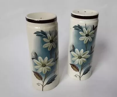 Buy Vintage Palissy Pottery Salt And Pepper Shakers Retro Ceramic Floral  • 8.99£