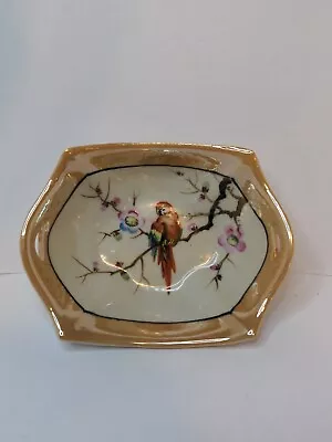 Buy Vintage Hand Painted Noritake M Lusterware Trinket Dish Unique Macaw Bird Theme • 75.75£