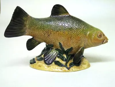 Buy Beswick Made In England Fish Figural - Tench - Numbered Limited Edition Of 500 • 95£
