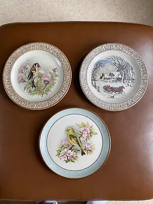 Buy Purbeck Pottery Dinner Plates - 8.5 Inches, Set Of 3, Used • 15£