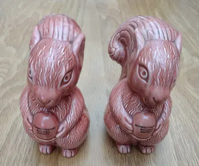 Buy 2 X Wade Squirrel Money Boxes Monmouthshire Building Society • 24.99£