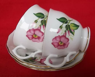 Buy Royal Vale Cups & Saucers X 2 Bone China Tea Set • 4£