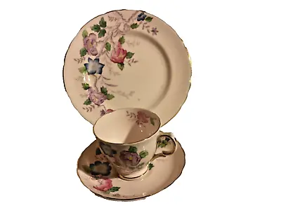 Buy Vintage Tuscan English Bone China Cathay Footed Cup, Saucer, And Side Plate • 18.96£