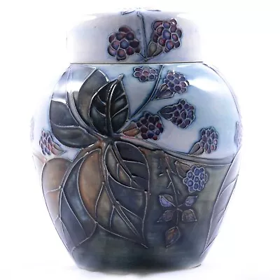 Buy Moorcroft Large Ginger Jar In  BRAMBLE Pattern  Perfect By Sally Tuffin 15.5cm • 155£