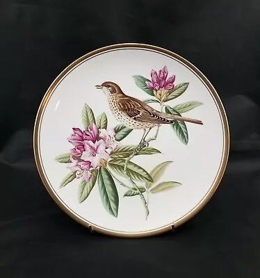 Buy Spode Fine China Handpainted Bird Ornithology Plate No.5 Mistle Thrush & Floral  • 6.99£