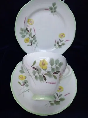 Buy Vintage Adderley Bone China Floral Trio Cup Saucer Plate  • 7.50£